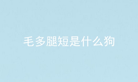 毛多腿短是什么狗