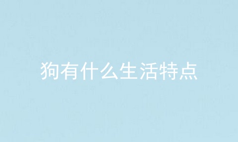 狗有什么生活特点