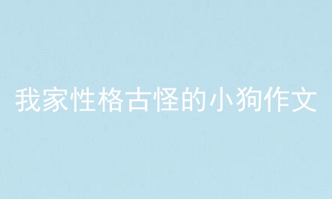 我家性格古怪的小狗作文