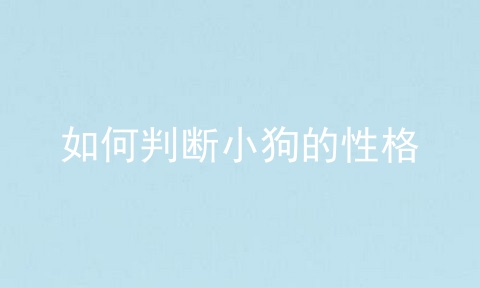 如何判断小狗的性格