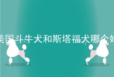美国斗牛犬和斯塔福犬哪个好