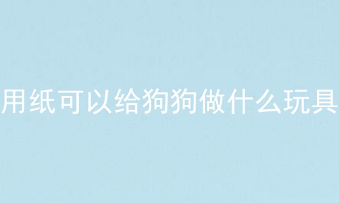 用纸可以给狗狗做什么玩具