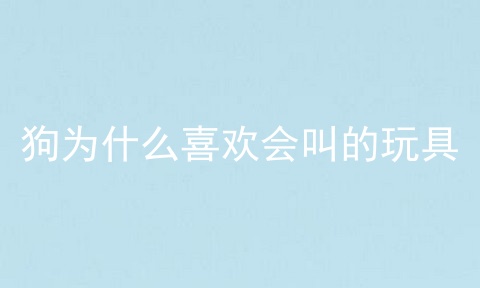 狗为什么喜欢会叫的玩具