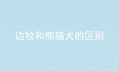 边牧和熊猫犬的区别