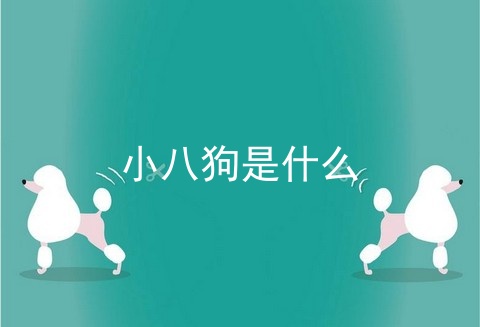 小八狗是什么