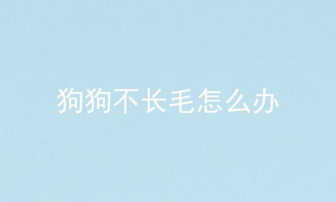 狗狗不长毛怎么办