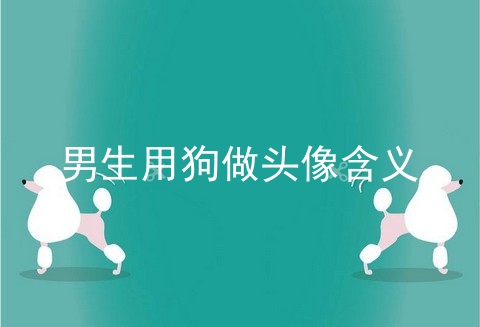 男生用狗做头像含义