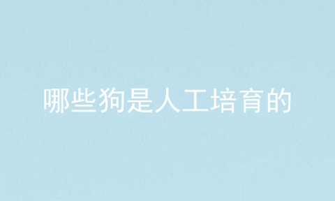哪些狗是人工培育的