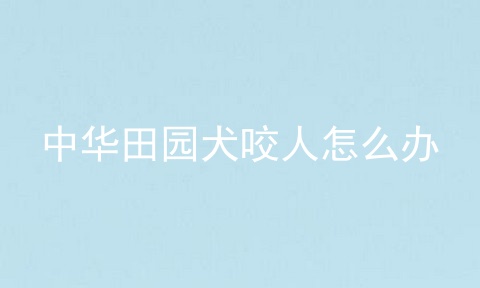 中华田园犬咬人怎么办