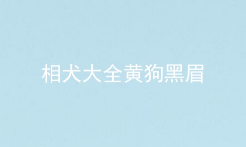 相犬大全黄狗黑眉