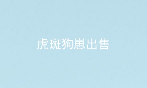 虎斑狗崽出售