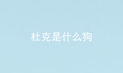 杜克是什么狗