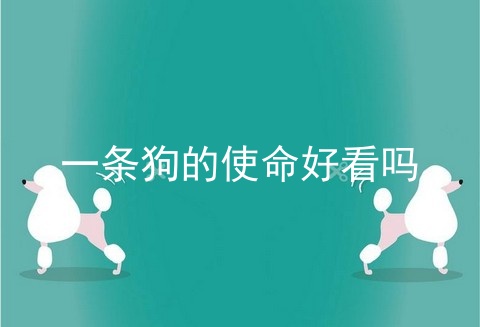 一条狗的使命好看吗