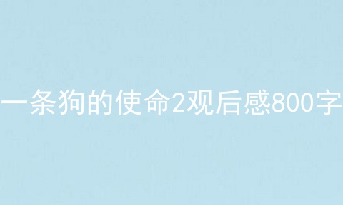 一条狗的使命2观后感800字