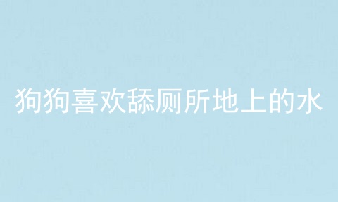 狗狗喜欢舔厕所地上的水