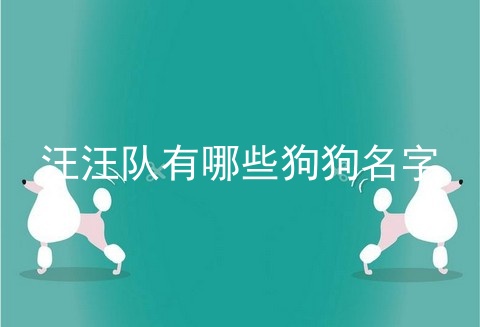 汪汪队有哪些狗狗名字