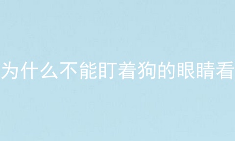 为什么不能盯着狗的眼睛看