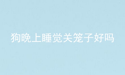 狗晚上睡觉关笼子好吗