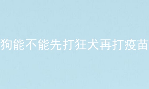 狗能不能先打狂犬再打疫苗