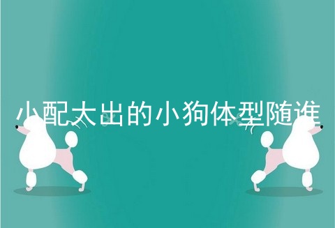 小配大出的小狗体型随谁