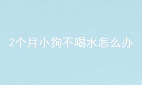 2个月小狗不喝水怎么办