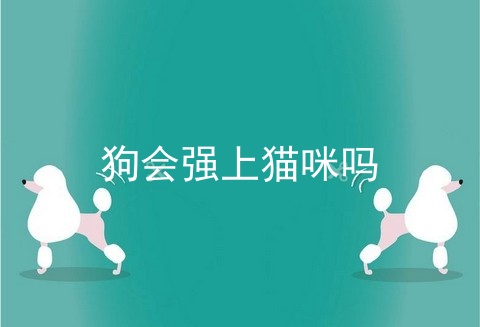 狗会强上猫咪吗