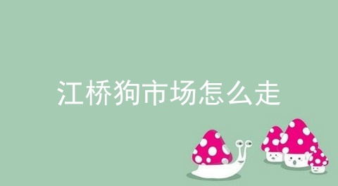 江桥狗市场怎么走