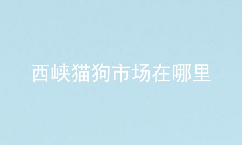 西峡猫狗市场在哪里