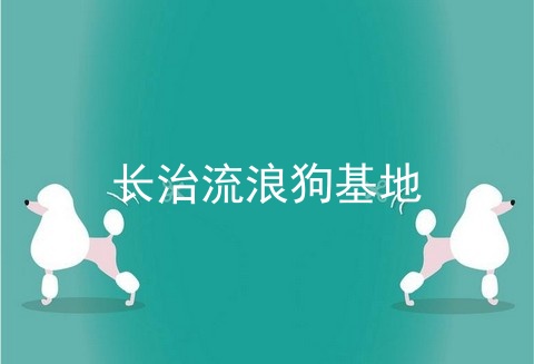 长治流浪狗基地