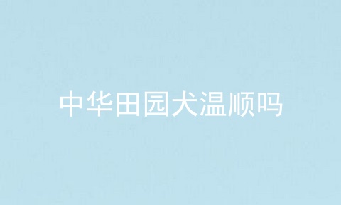 中华田园犬温顺吗