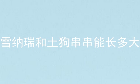 雪纳瑞和土狗串串能长多大