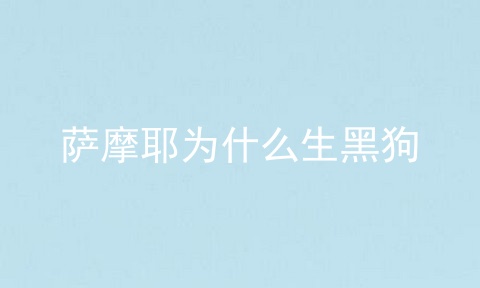 萨摩耶为什么生黑狗