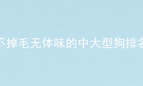 不掉毛无体味的中大型狗排名