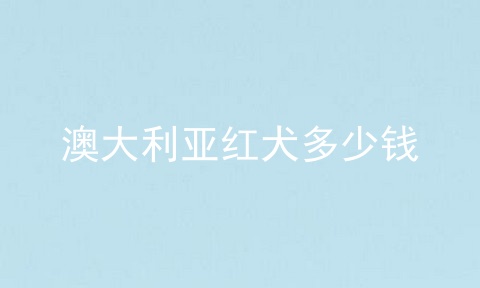 澳大利亚红犬多少钱