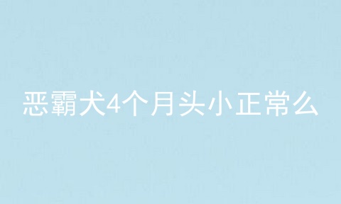 恶霸犬4个月头小正常么