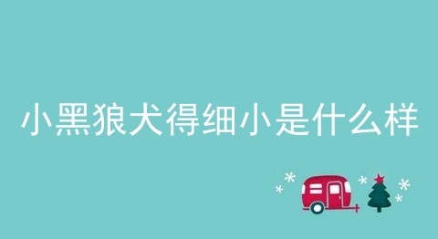 小黑狼犬得细小是什么样