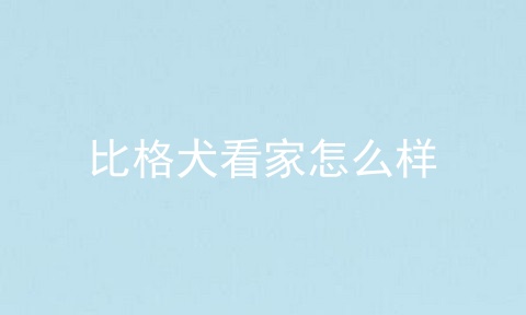 比格犬看家怎么样