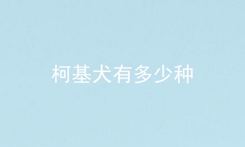 柯基犬有多少种