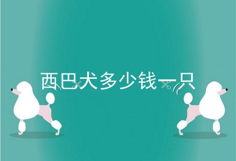 西巴犬多少钱一只