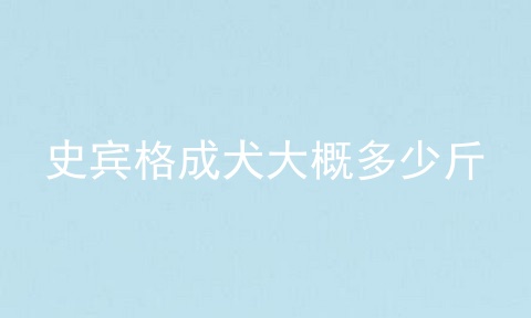 史宾格成犬大概多少斤