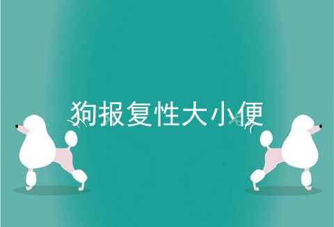 狗报复性大小便