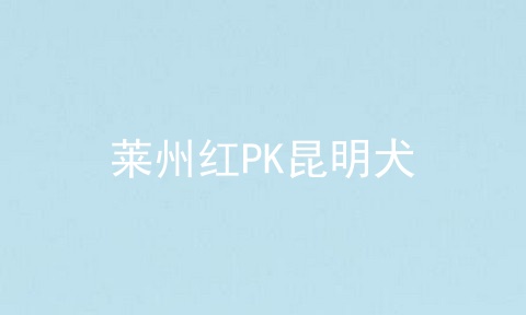 莱州红PK昆明犬