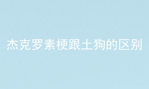 杰克罗素梗跟土狗的区别