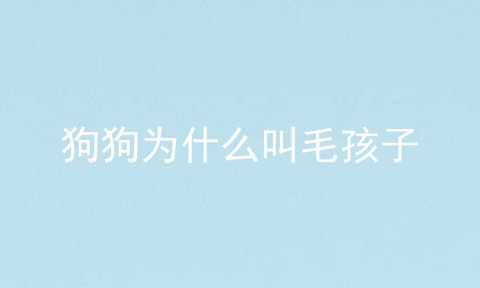 狗狗为什么叫毛孩子