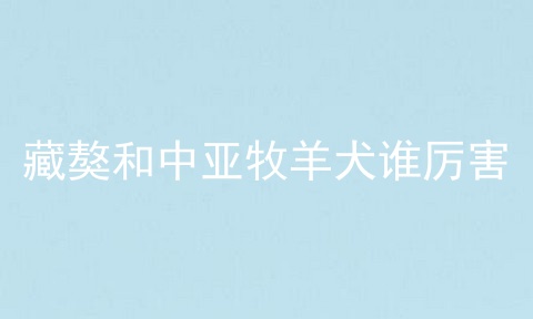 藏獒和中亚牧羊犬谁厉害