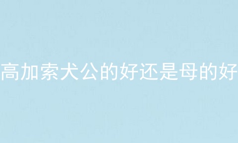 高加索犬公的好还是母的好