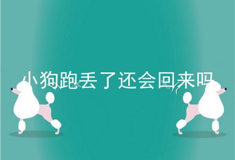 小狗跑丢了还会回来吗