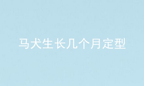 马犬生长几个月定型