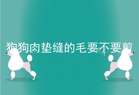 狗狗肉垫缝的毛要不要剪