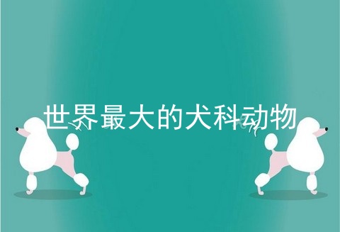 世界最大的犬科动物